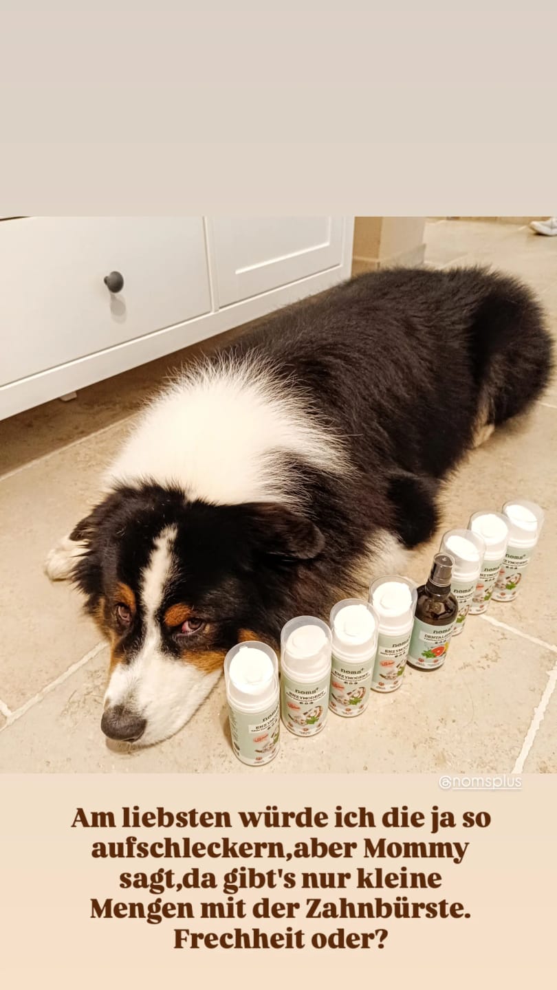 Customer photo review of Enzymodent: Enzymatische Zahnpasta für Hunde mit natürlicher Pflege- und Präventionsformel