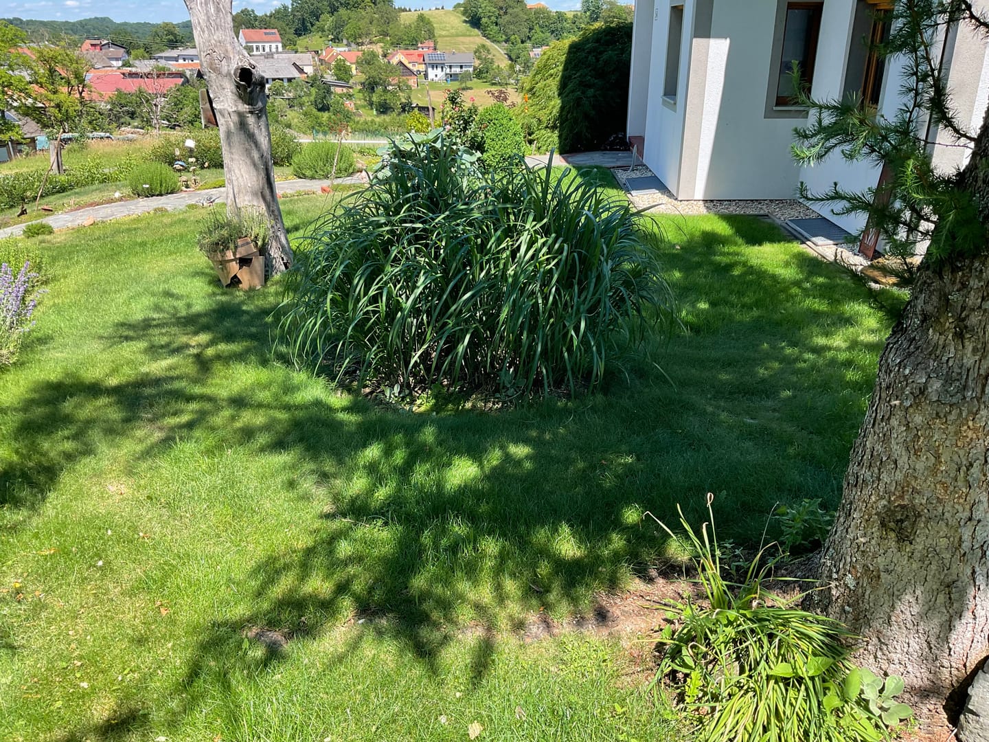 Customer photo review of RASENBLITZ™ - SOMMERDÜNGER