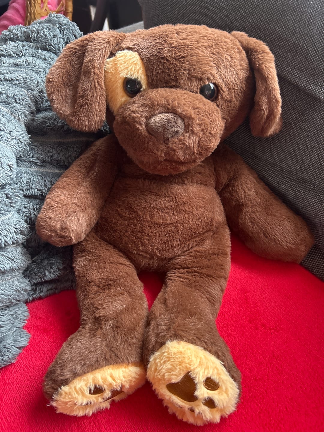 Customer photo review of (pre-order) Verzwaringsknuffel Hond 2,2 kg + Gratis Pittenzakje