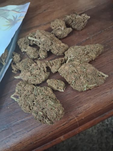Customer photo review of Bulk THCA Flower Pounds