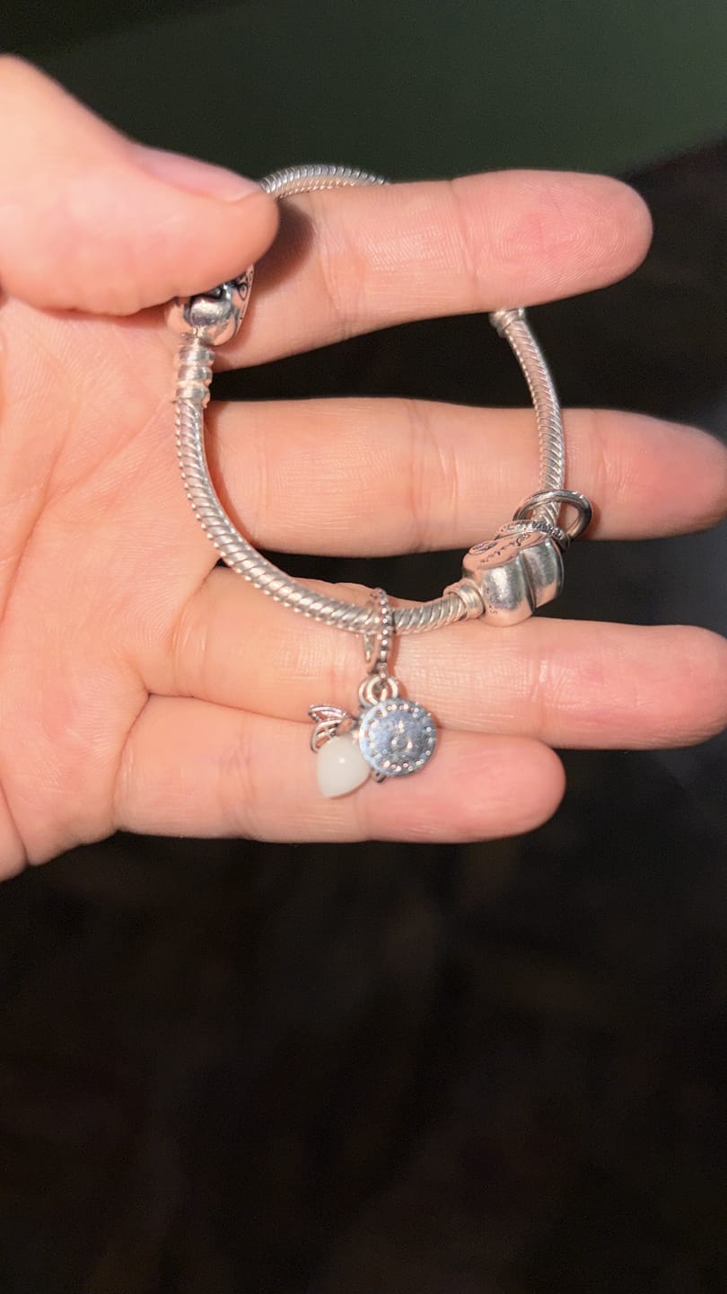 Customer photo review of CHARM PANDORA EVANGELINE LUCIERNAGA PLATA .925