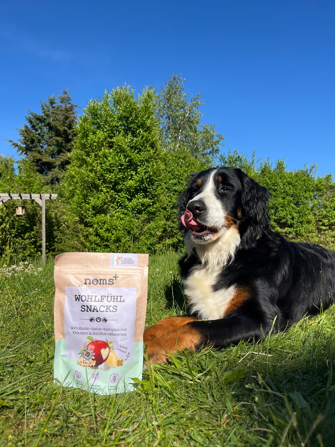 Customer photo review of Wohlfühlsnacks für Hunde bei Stress, Angst, Unruhe & Hyperaktivität