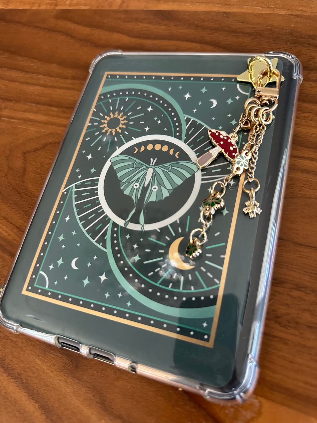 Customer photo review of Luna Moth eReader Sticker Insert