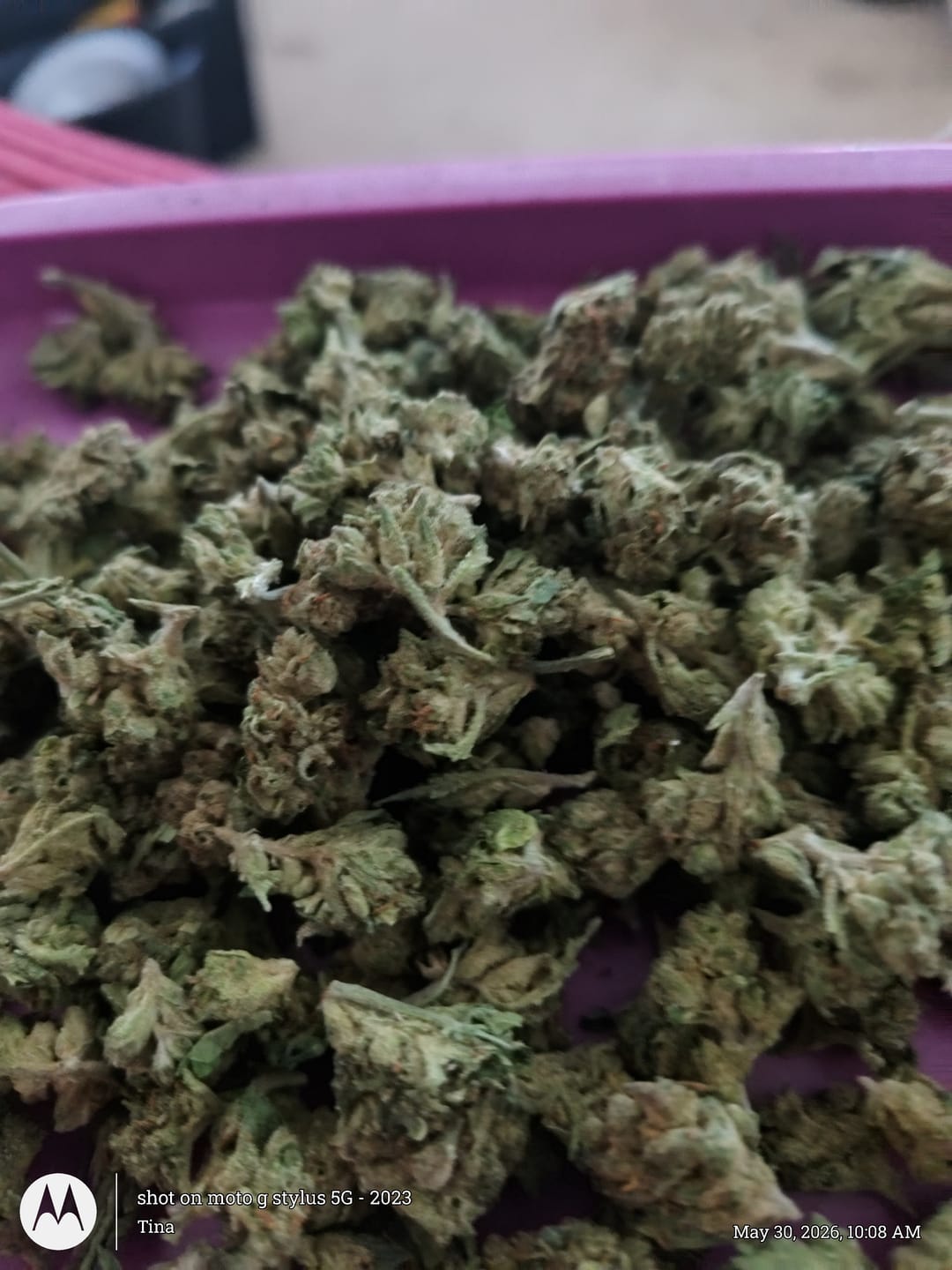 Customer photo review of Maui Wowie - 14 Grams Littles - Sativa