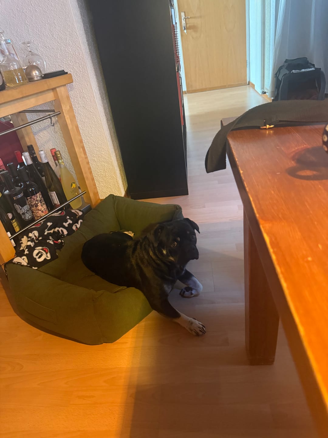 Customer photo review of Kingston – Cord Double Face - Luxury Dog Bed