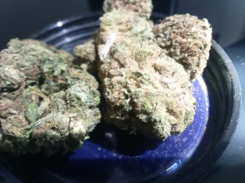 Customer photo review of Hawaiian Punch THCA Flower