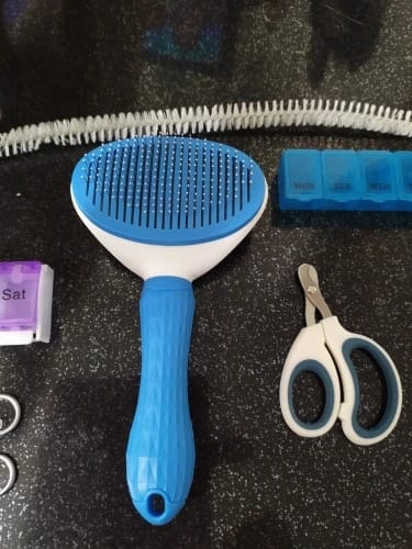Customer photo review of Self Cleaning Pet Grooming Brush for Dogs and Cats