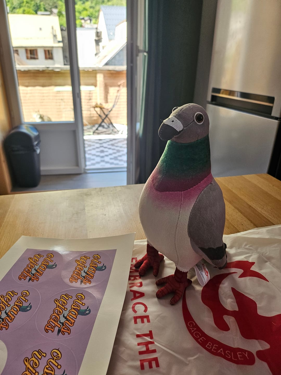 Customer photo review of Common Pigeon Bird Soft Stuffed Plush Toy