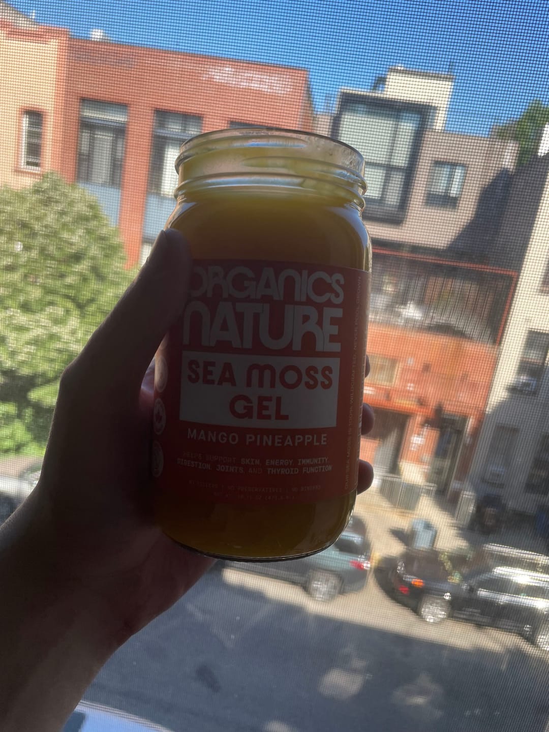 Customer photo review of Sea Moss Gel Jar - Mango Pineapple