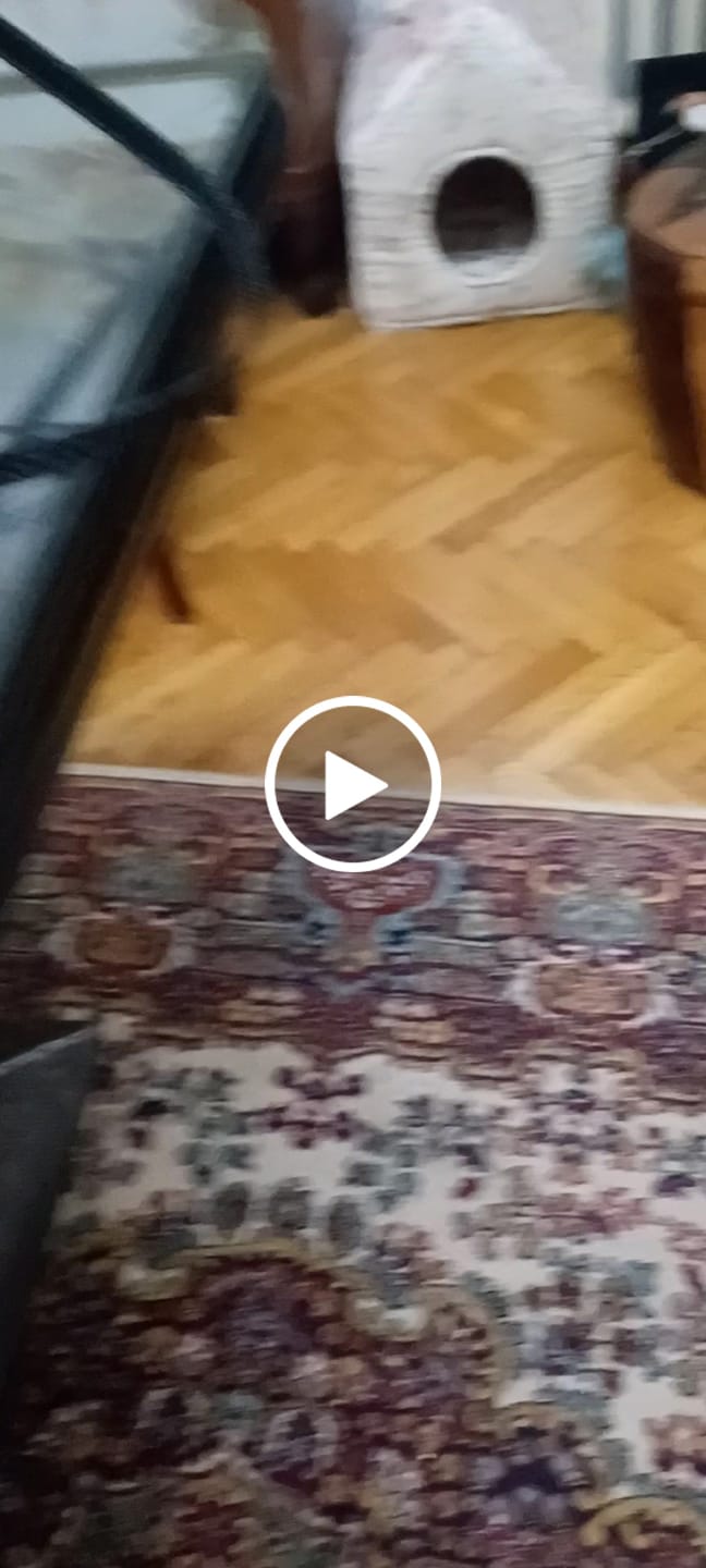 Customer video review of Pametna Interaktivna Loptica za Kućne Ljubimce