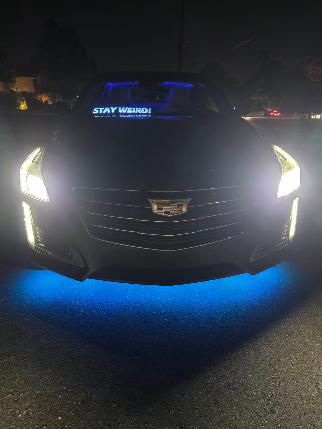 Customer photo review of Easy Install Auto LED Light Kit