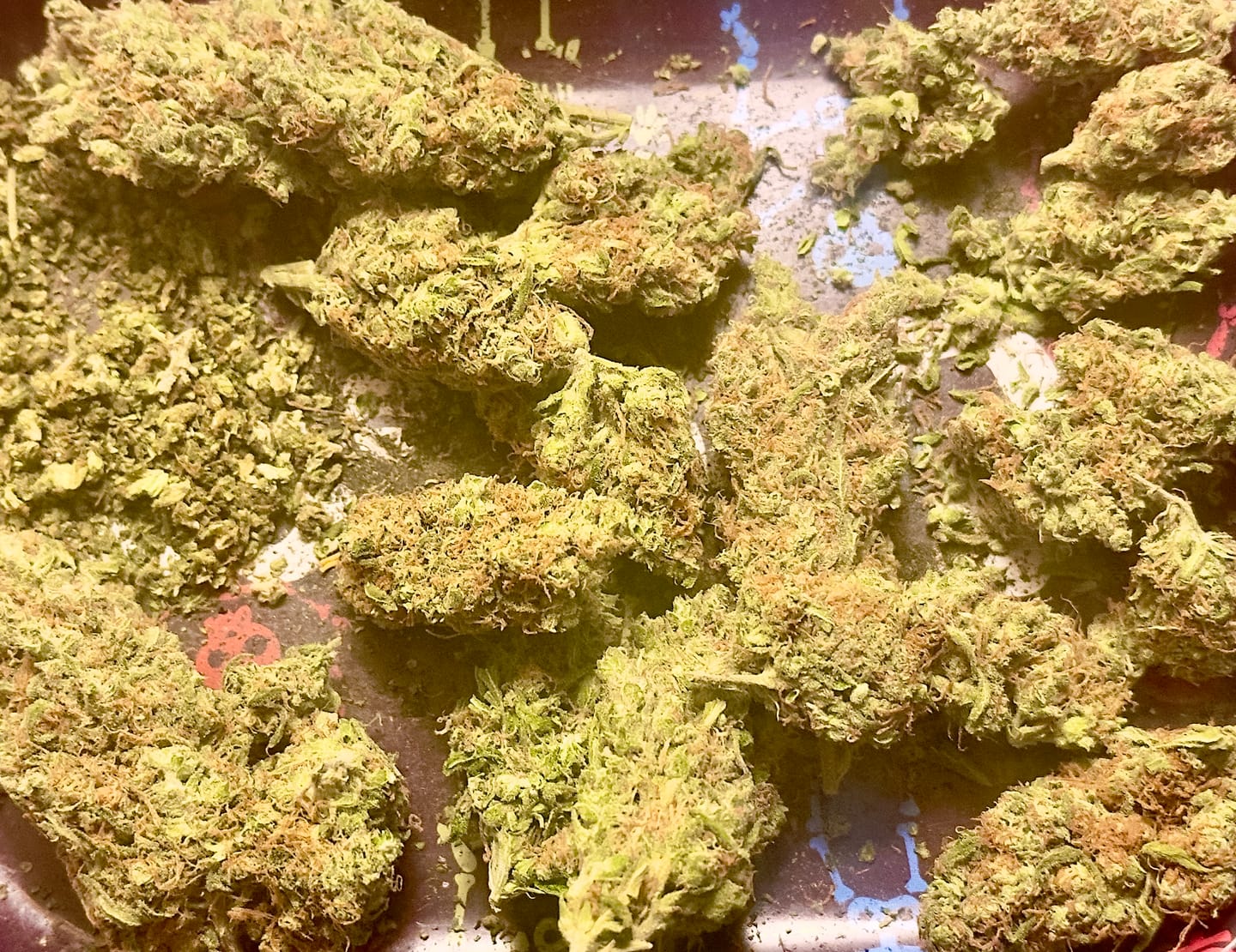 Customer photo review of Game Time Infused Preroll 1 Gram - Sativa