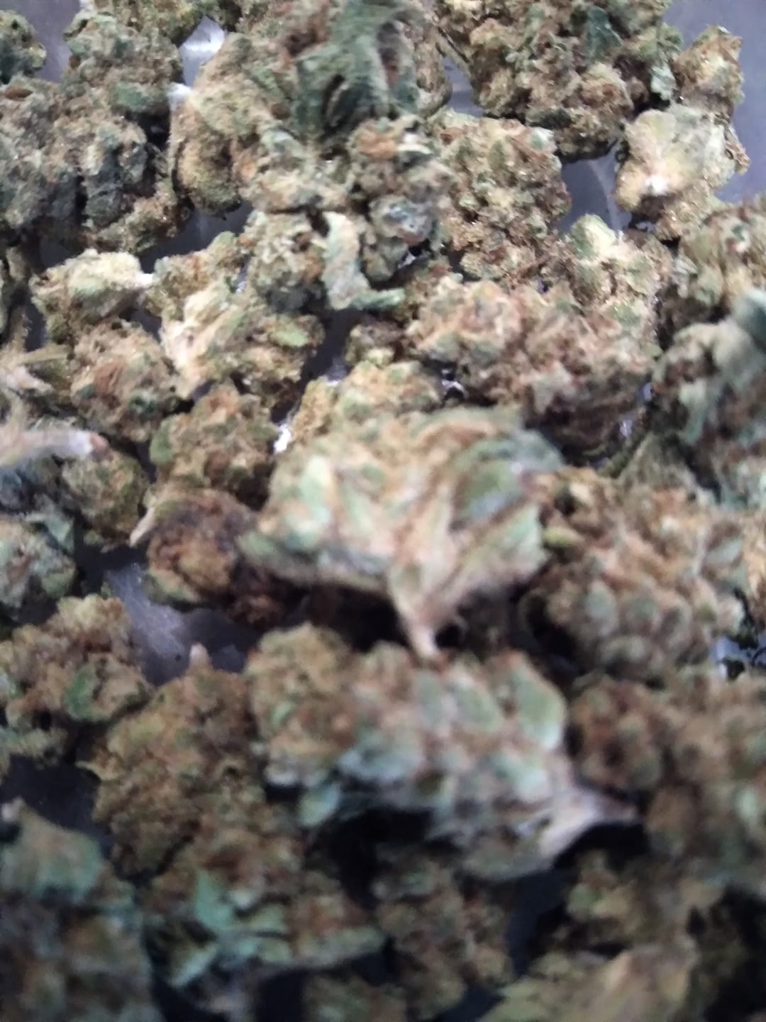 Customer photo review of Chem Dawg - Minis - 28 Grams - Hybrid