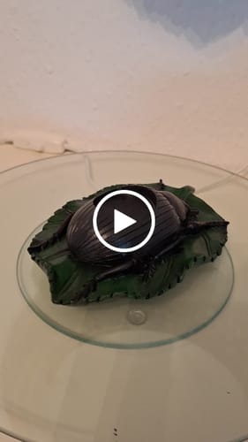 Kundenbewertung mit Video zu Schwarzer Käfer-Teelichthalter auf Blatt – Gothic Deko für Kerzenlicht