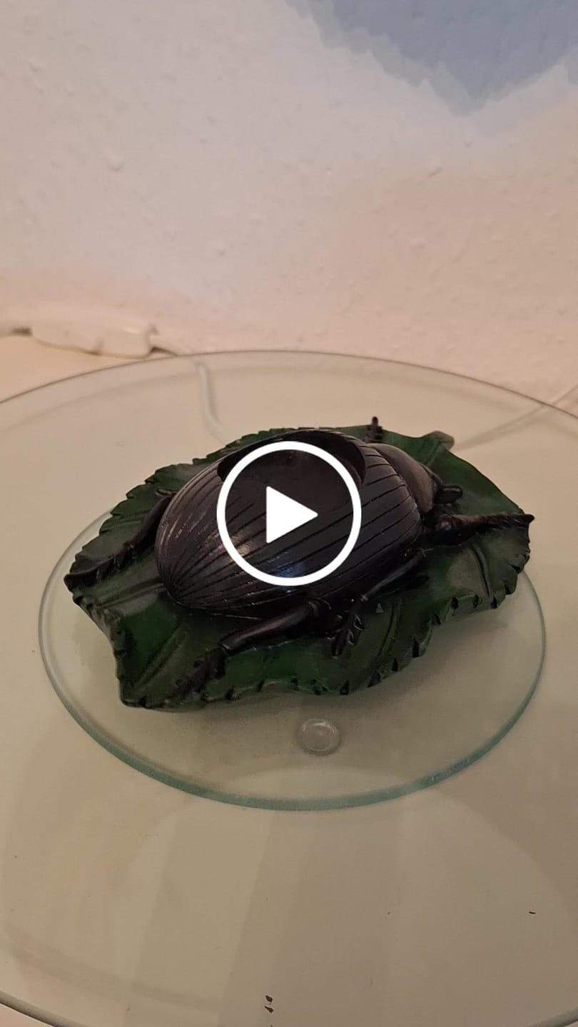 Customer video review of Schwarzer Käfer-Teelichthalter auf Blatt – Gothic Deko für Kerzenlicht