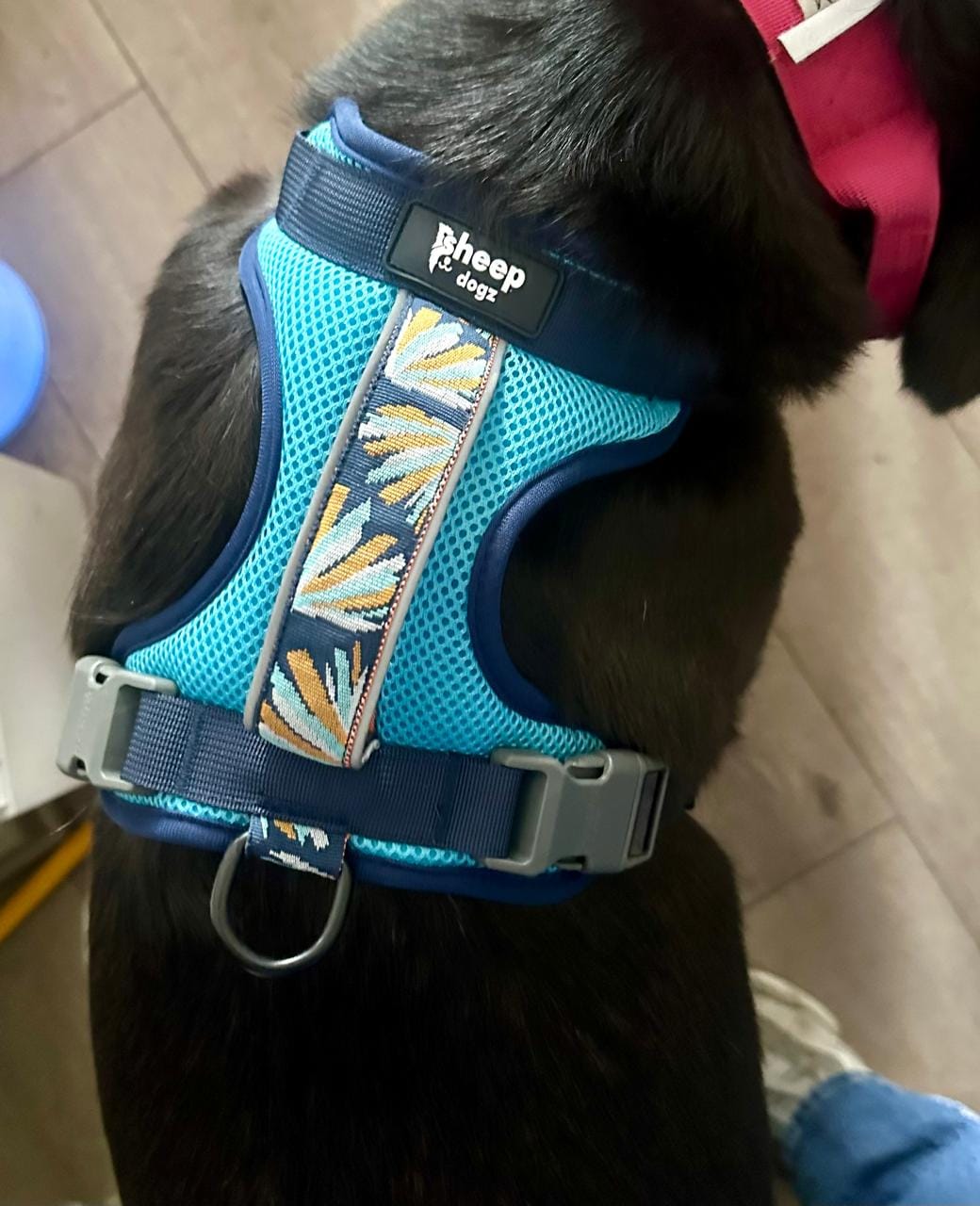 Customer photo review of Arnés Puelo - 🦅Martin Pescador🦅