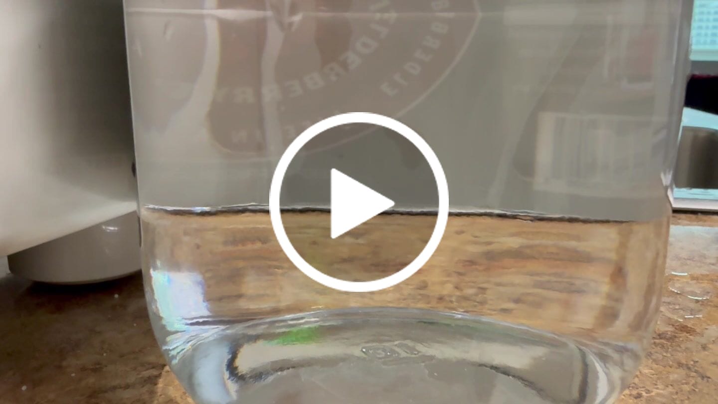 Customer video review of Meraki Blu USP Grade Methylene Blue 150mg