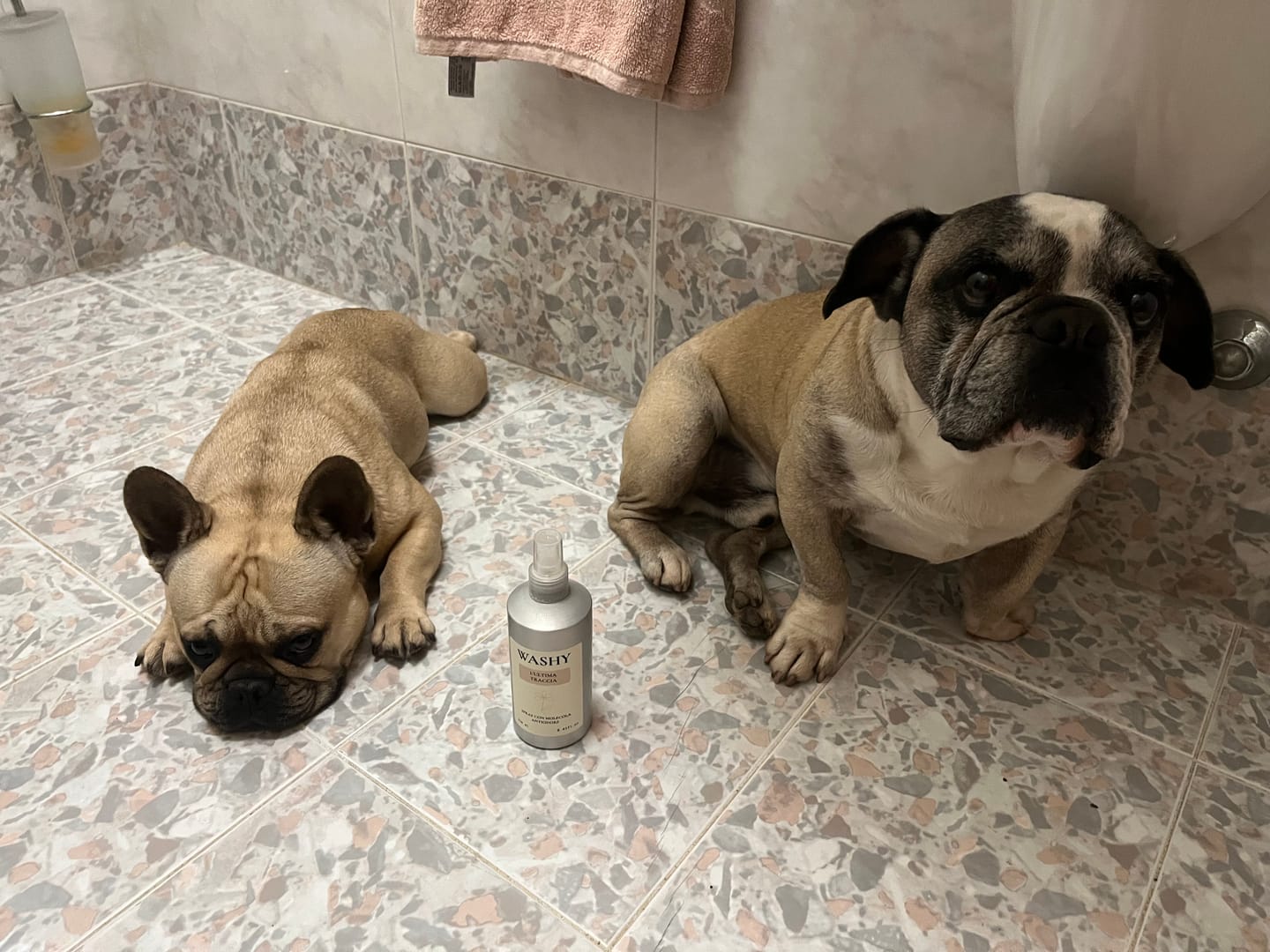 Customer photo review of SPRAY MOLECOLA ANTIODORE L'ULTIMA TRACCIA