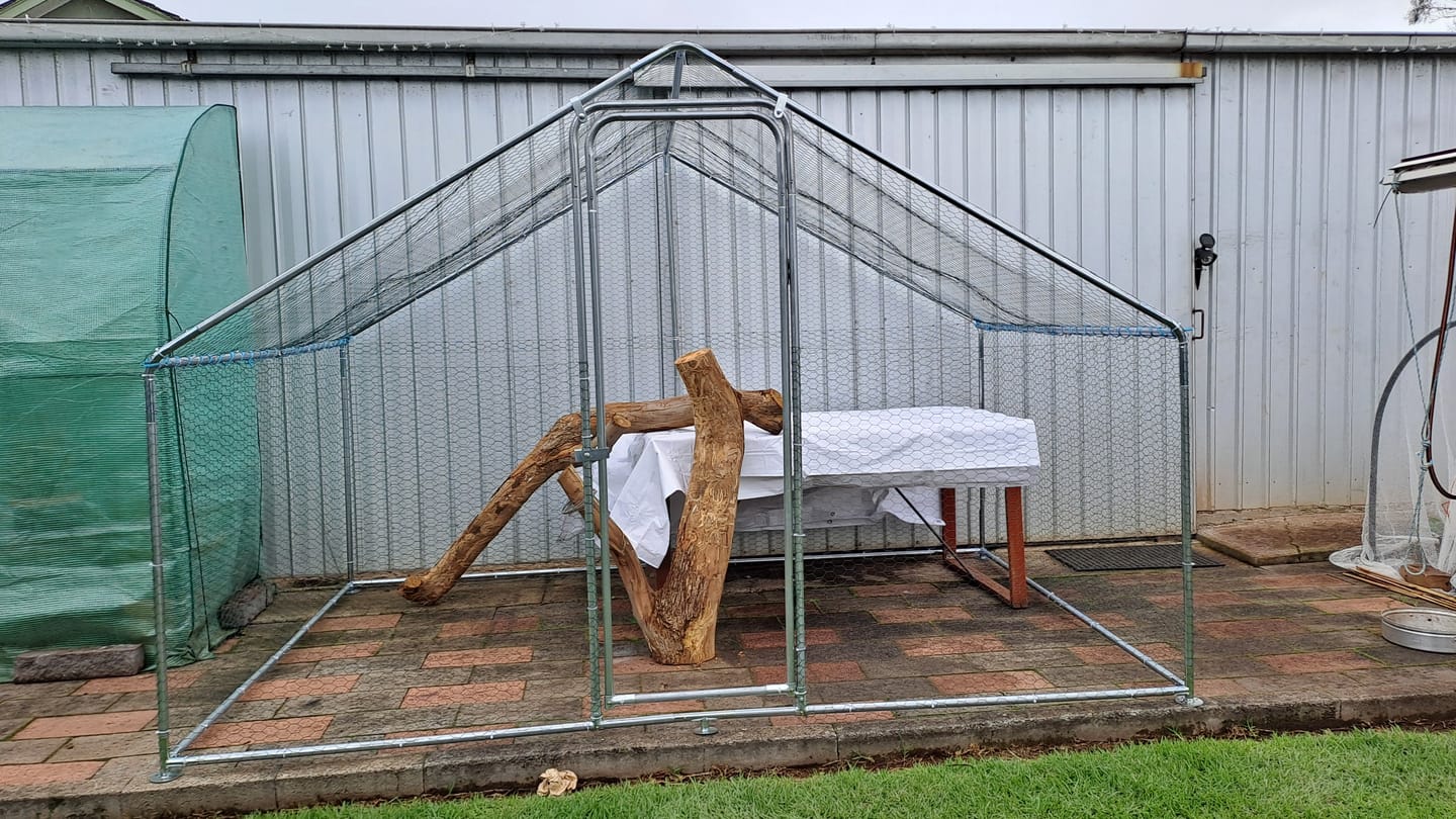 Customer photo review of Pets Gear Metal Cat Cage Outdoor Enclosure