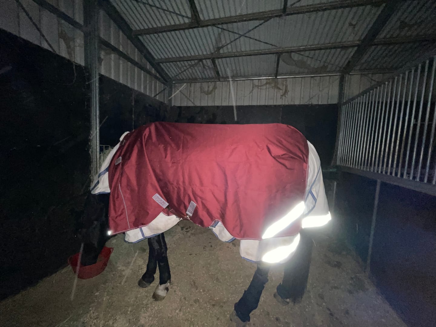 Customer photo review of LE Boxter Stable Rug 100g