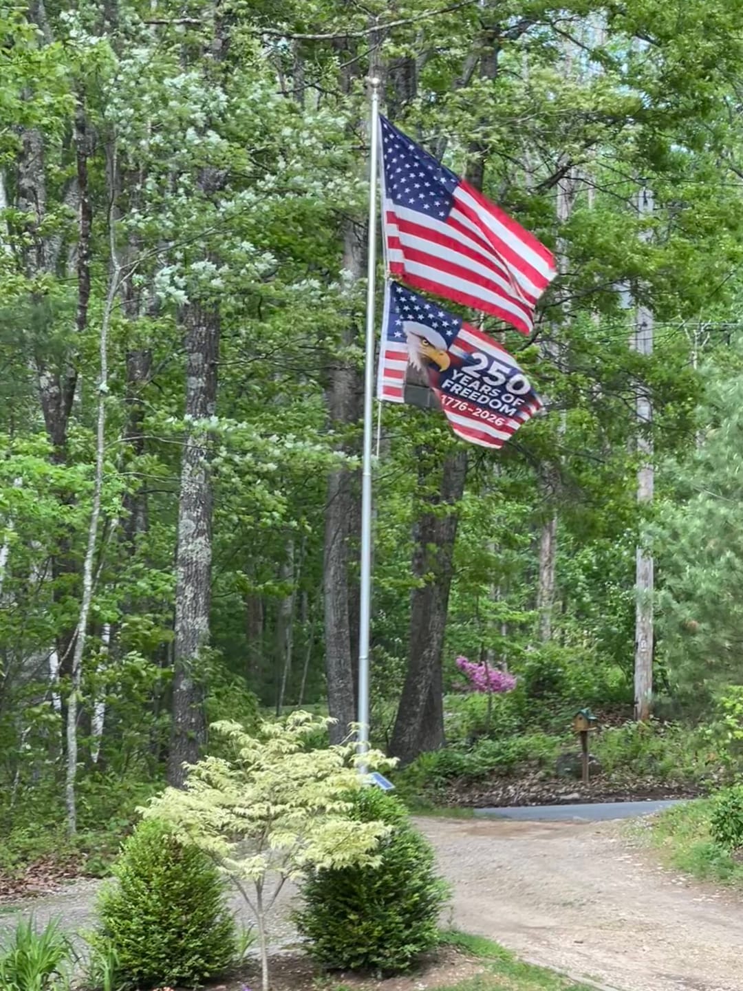 Customer photo review of America’s 250th Anniversary Flag – 3x5 Ft Bald Eagle Patriotic Flag | 1776-2026 “250 Years of Freedom” Banner