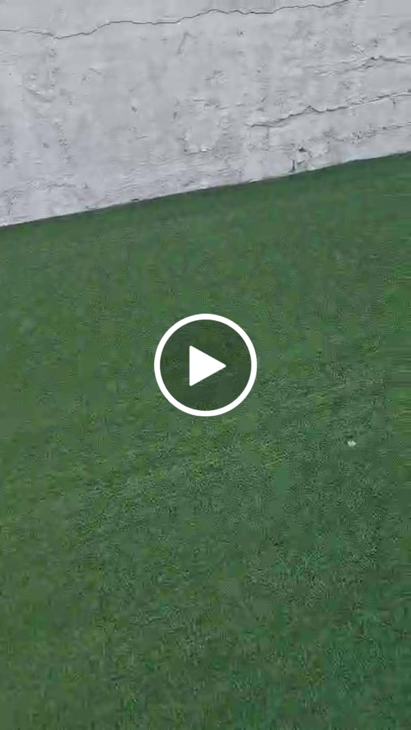 Customer video review of Prato Erba verde H 2MT L25 MT (r50mq) - Edilpiazza