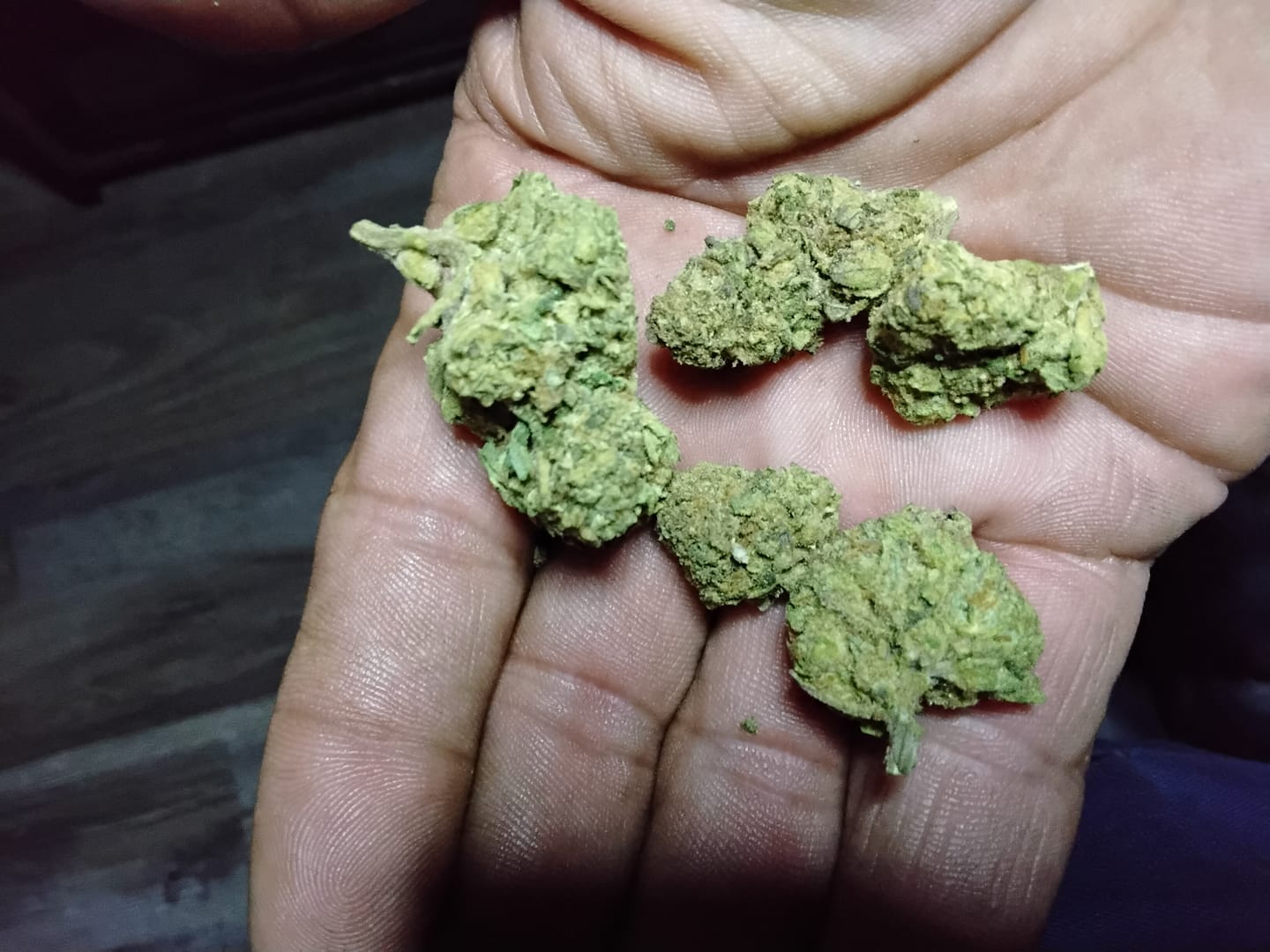 Customer photo review of Alien OG