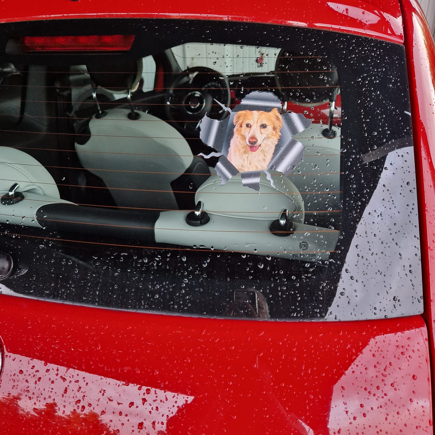 Customer photo review of Personalisierter Autoaufkleber - Spähendes Foto mit Hund