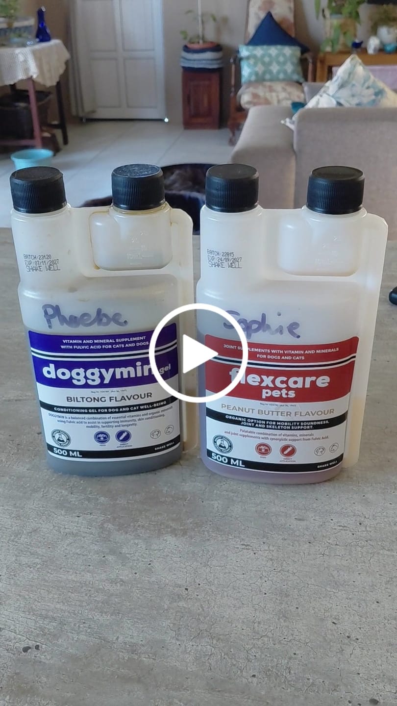 Customer video review of Doggymin (Skin & Immunity Support For Dogs)