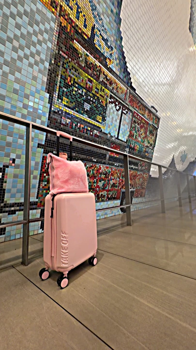 Customer photo review of Personal Item Suitcase 4.0 - 18 Inch
