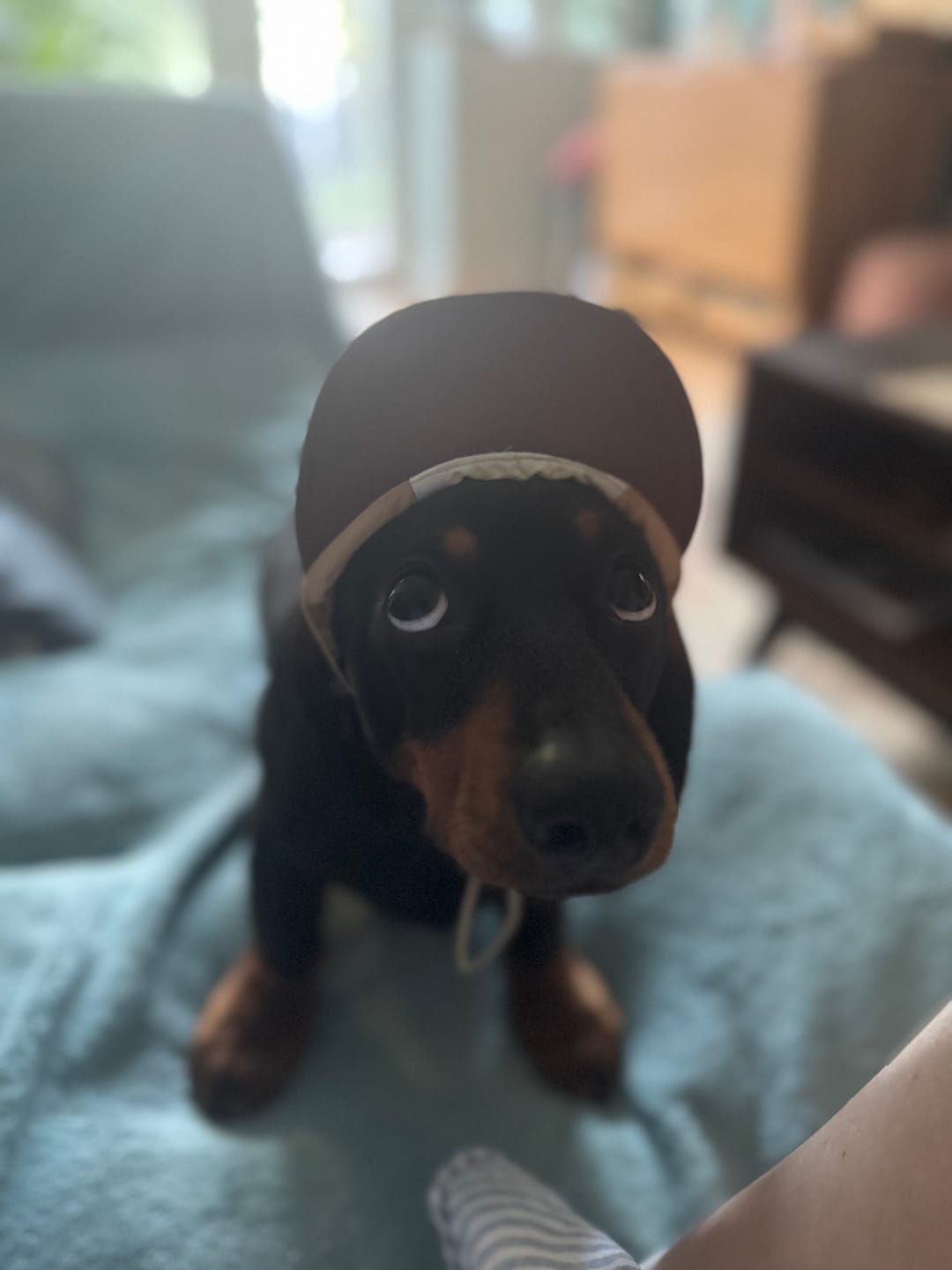Customer photo review of Nomad Color Block Hat