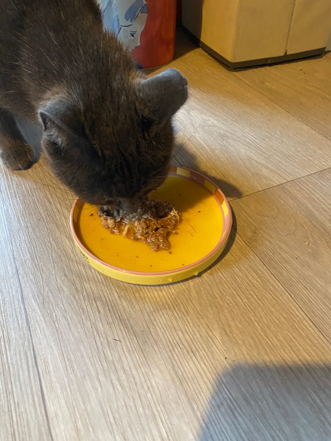 Customer photo review of Assiette - Cat Vibes Only