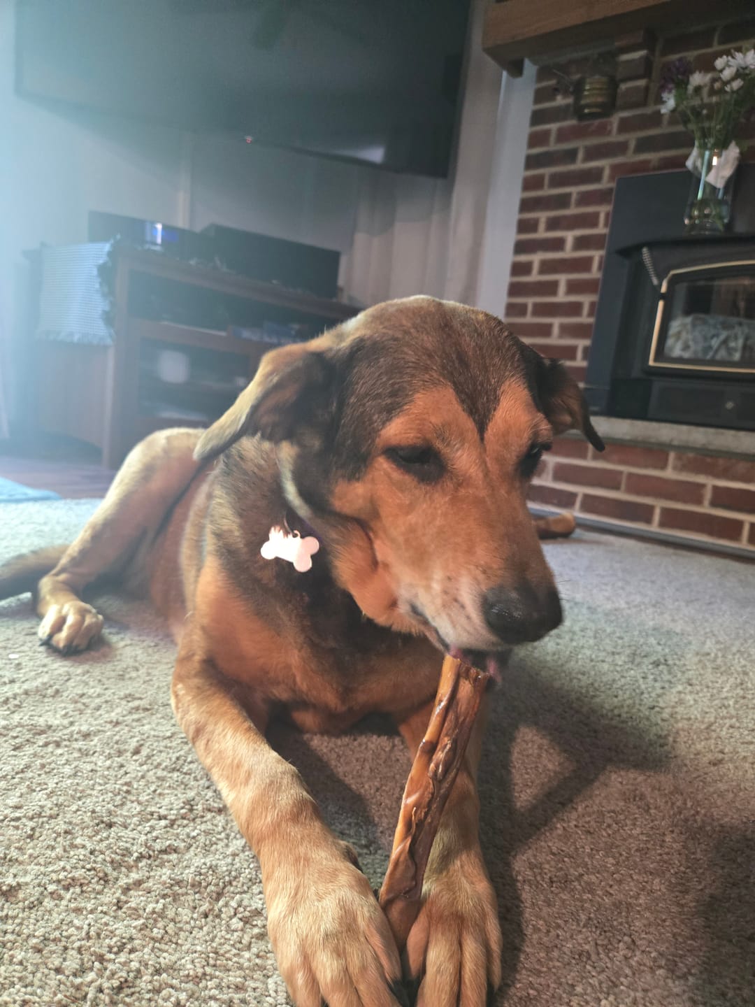 Customer photo review of Split Beef Cheek Sticks