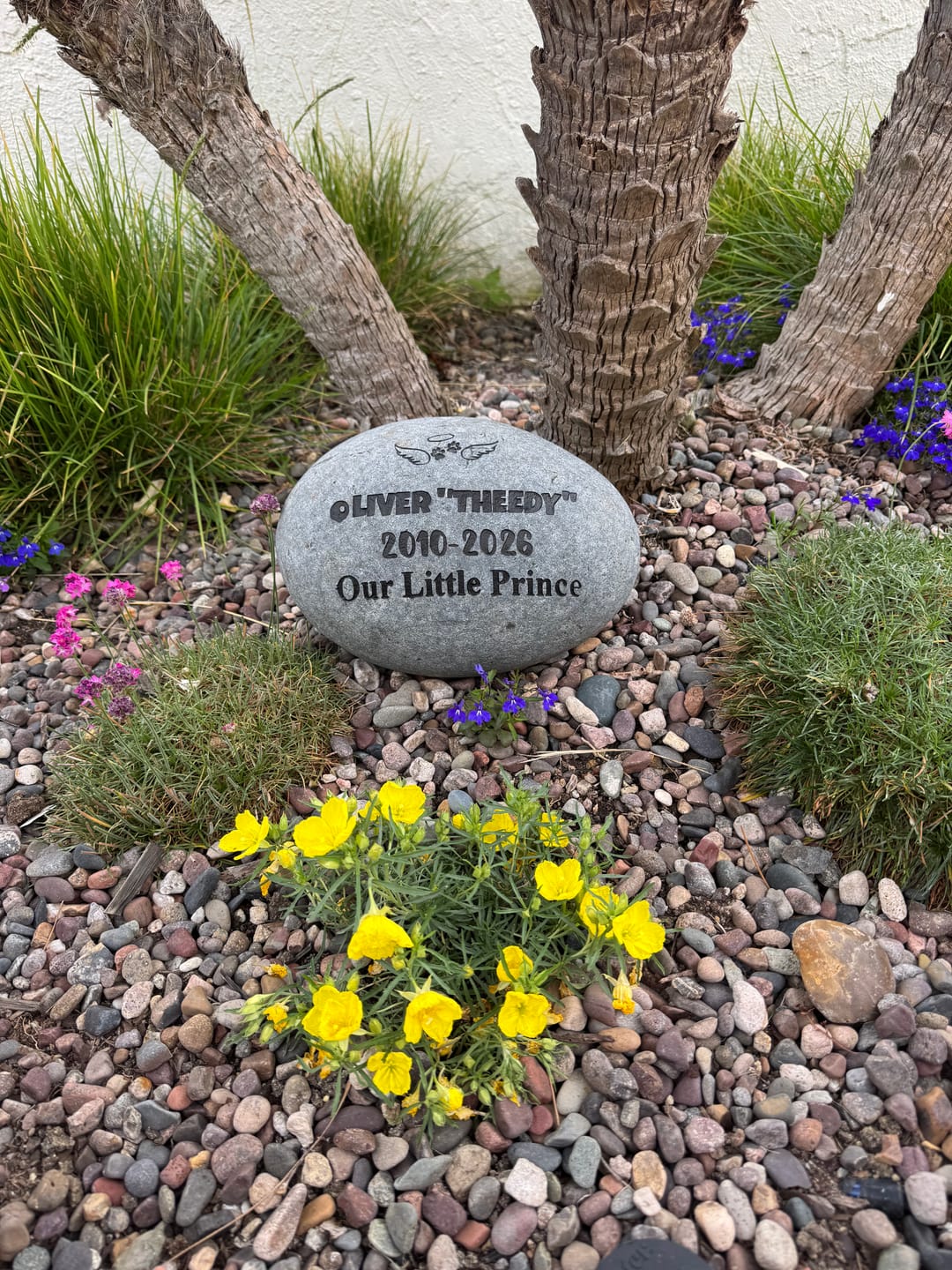 Customer photo review of Dog headstones Grave Marker Custom Engraved Pet Memorial River Rock Stone Heart Paw Print