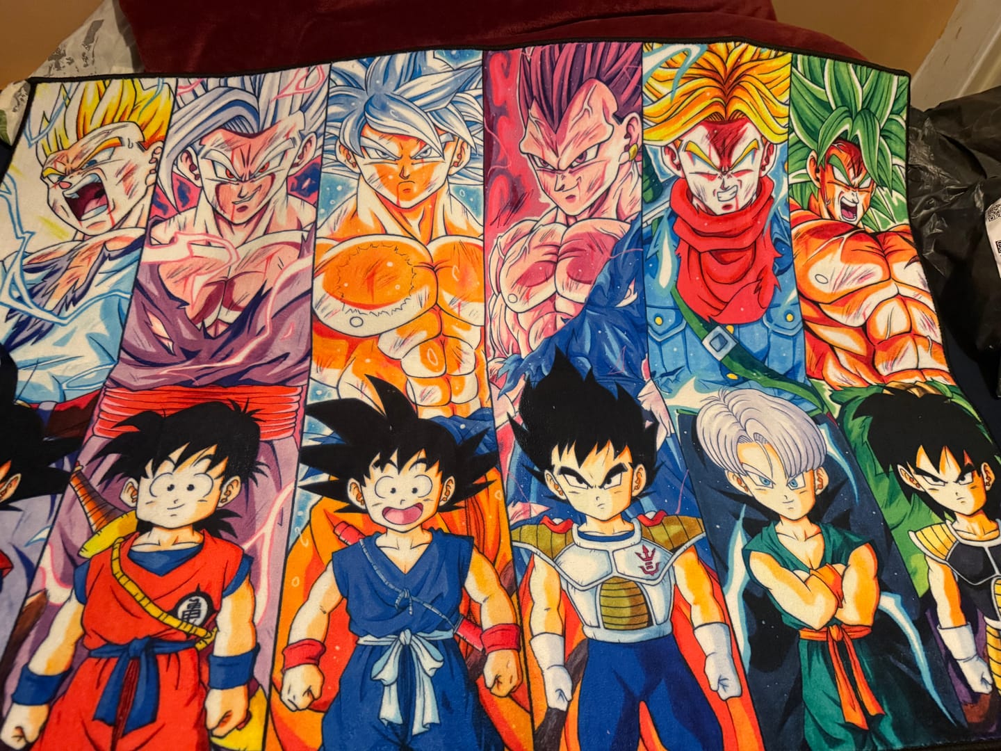 Customer photo review of Dragon Ball Final Form Rug