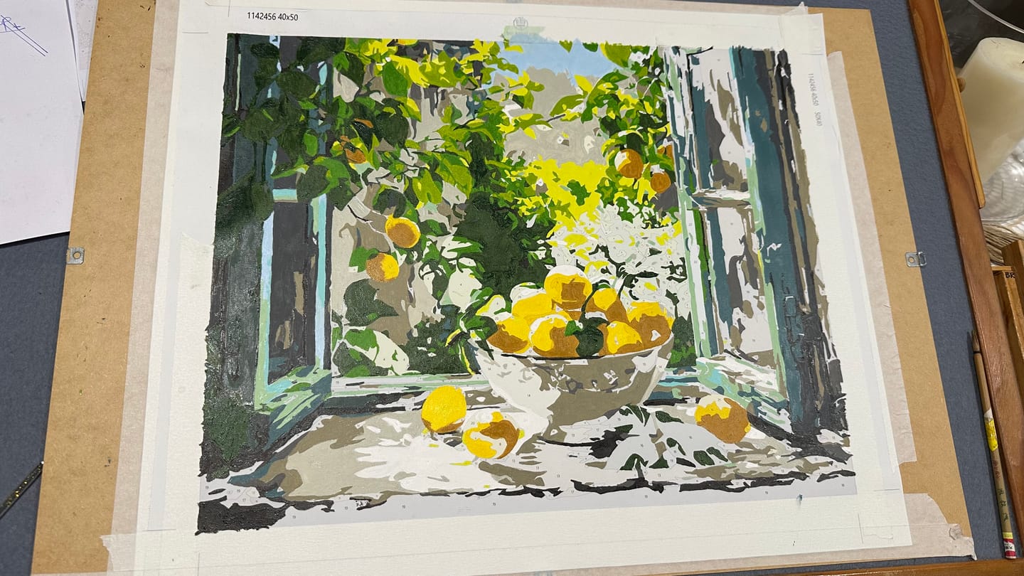 Customer photo review of Lemon Bowl at the Window | Paint by Number