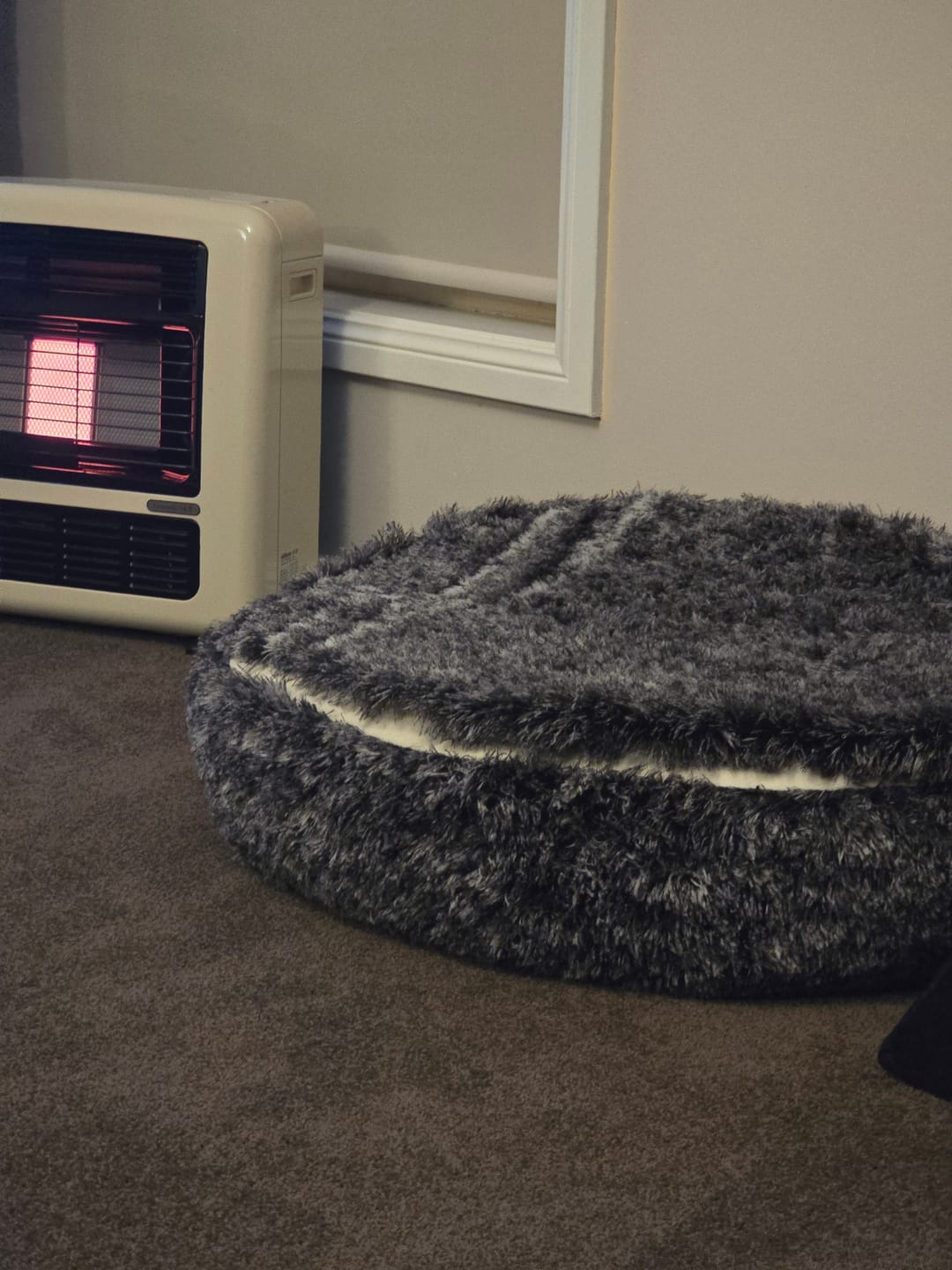 Customer photo review of Pet Cave Dog Bed - Removable Cover