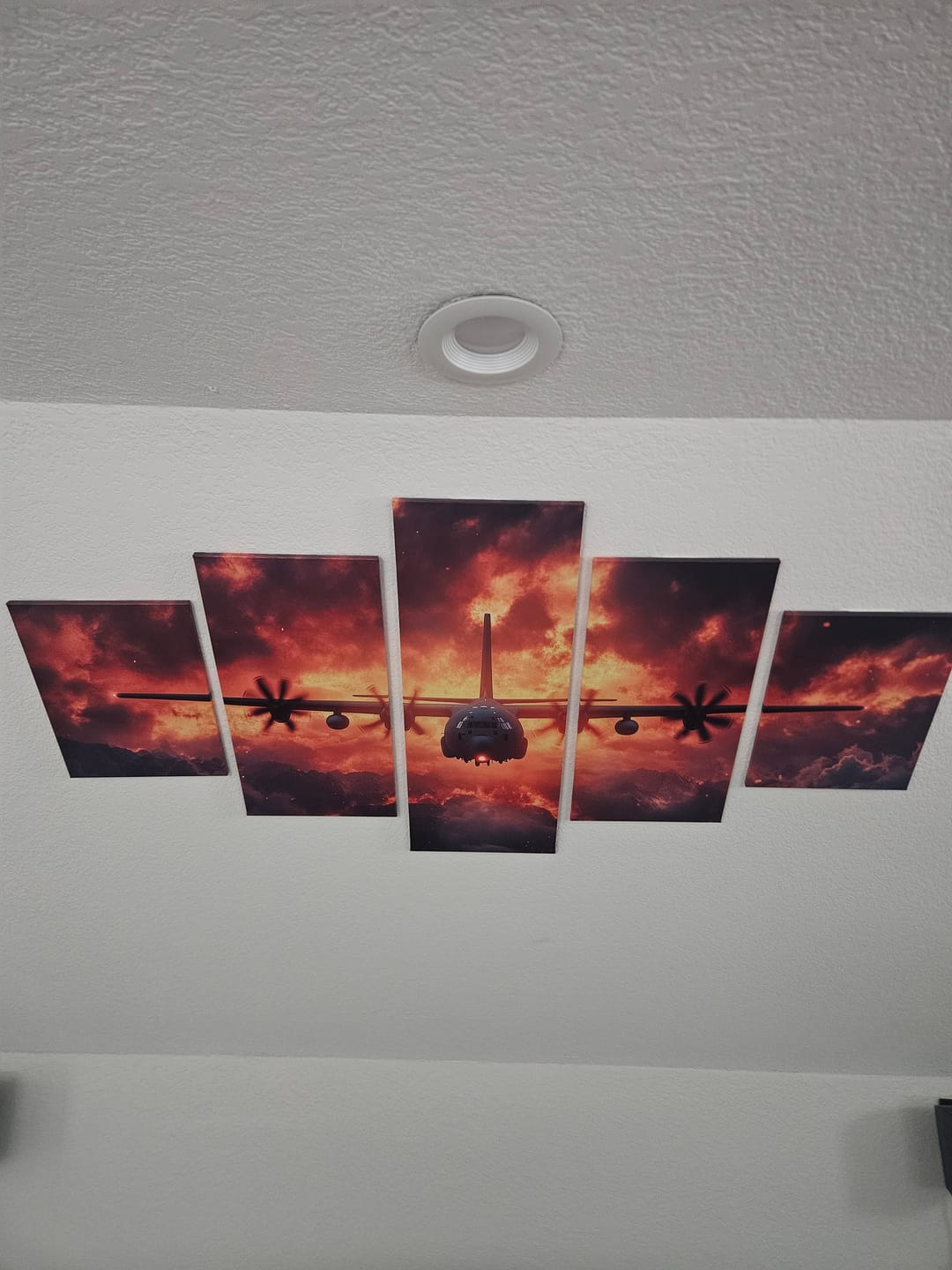 Customer photo review of Custom 5 Panel Canvas Print Wall Art - Do It Yourself (DIY) Or Let Us Do It For You (LUDIFY)!