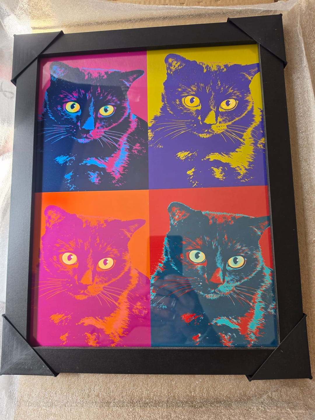 Customer photo review of Personalised Poster With Dog or Cat - Colour Squares