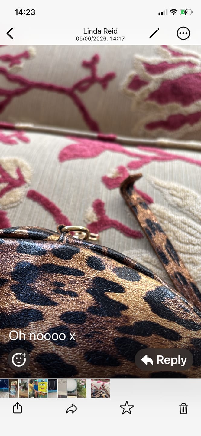 Customer photo review of Ella Heart Bag