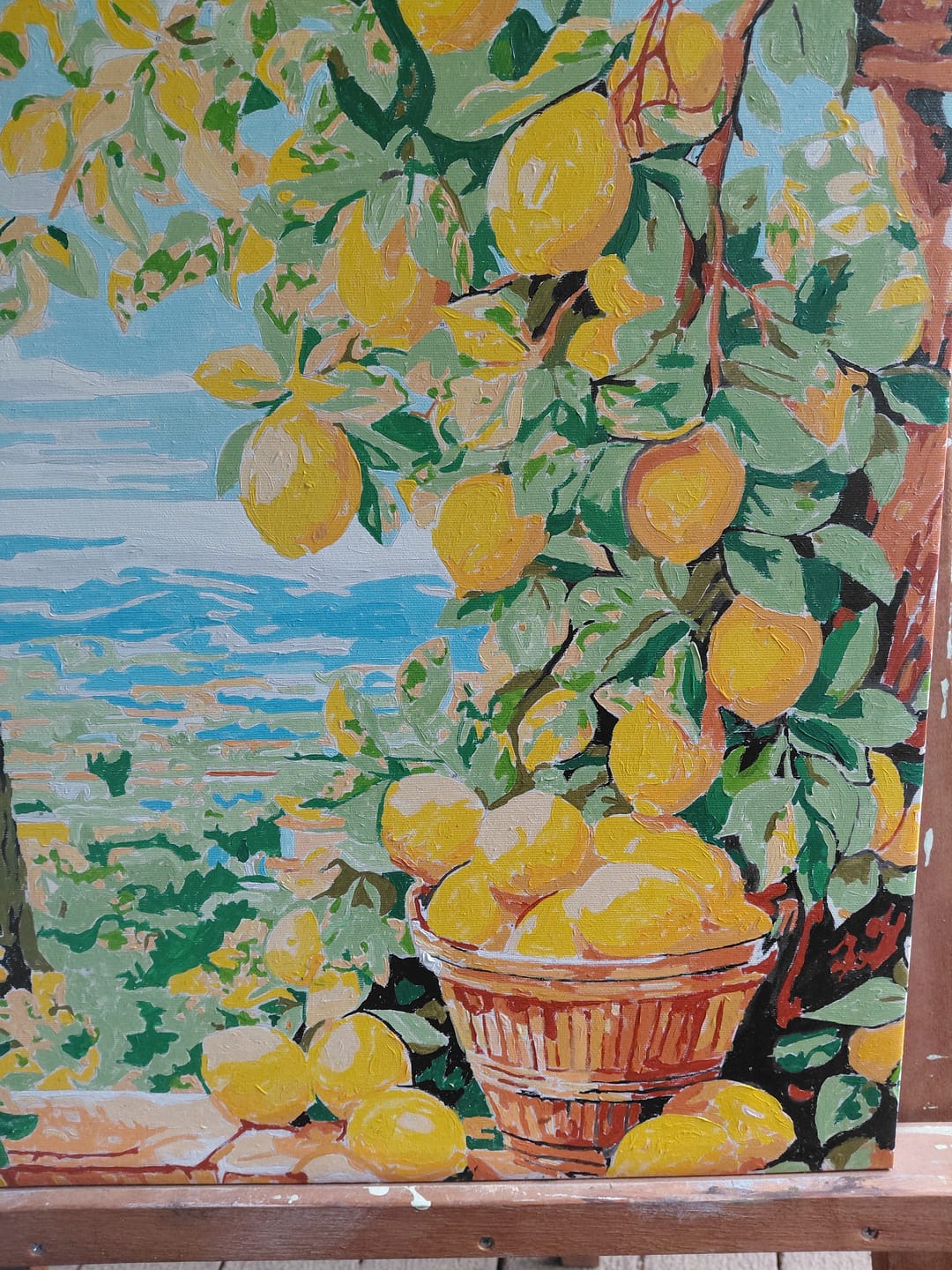 Customer photo review of Bounty Lemons