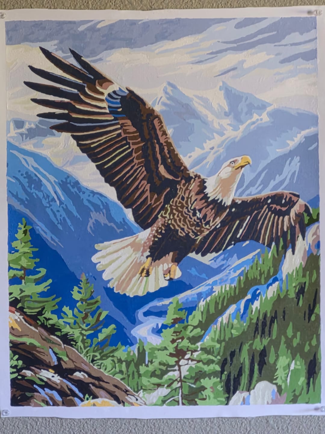 Customer photo review of Majestic Eagle