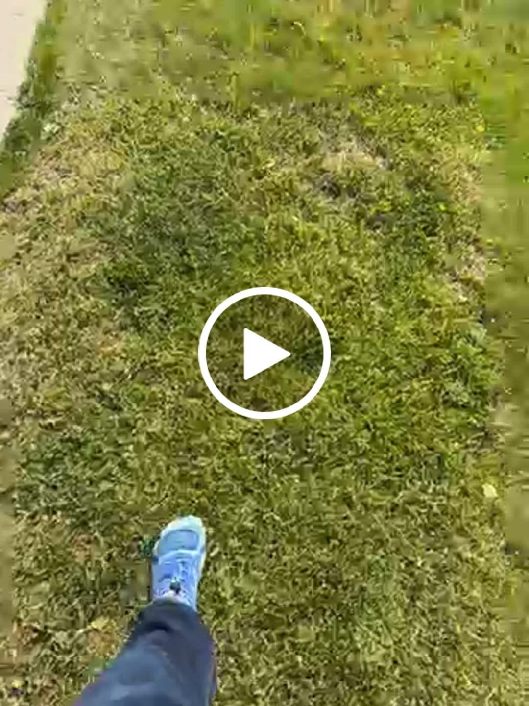 Customer video review of Active II Pro - Barefoot Shoes