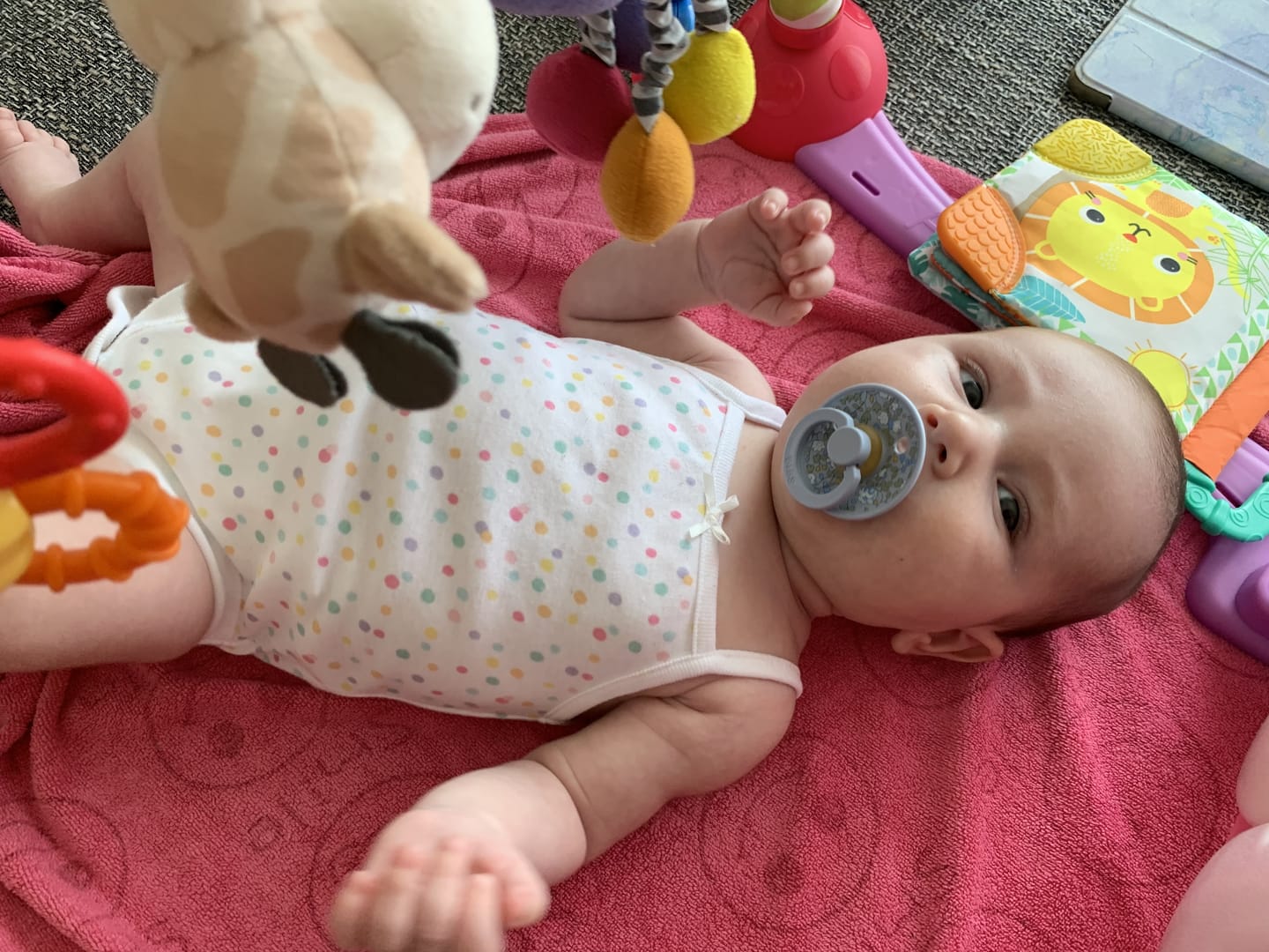 Customer photo review of BIBS x LIBERTY Colour Eloise - hamvaskék mix (2 db)