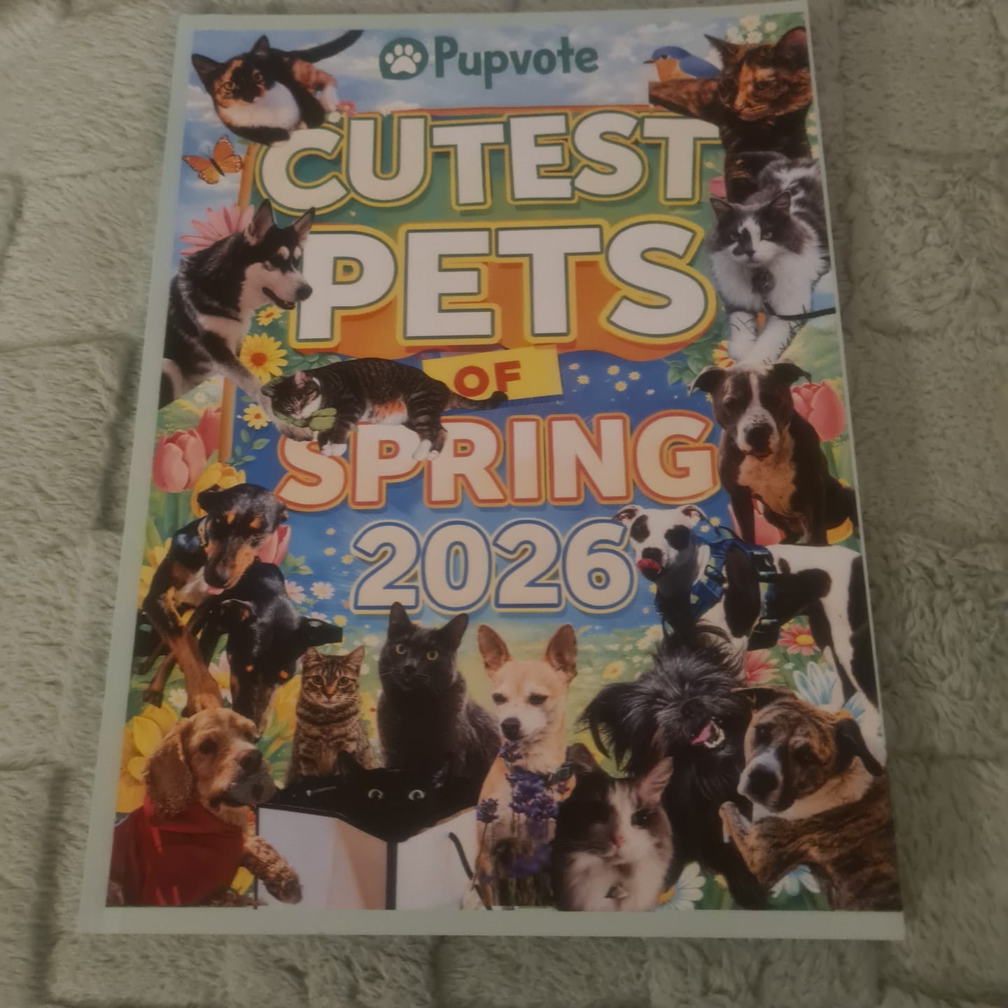 Customer photo review of Cutest Pets of Pupvote Spring 2026