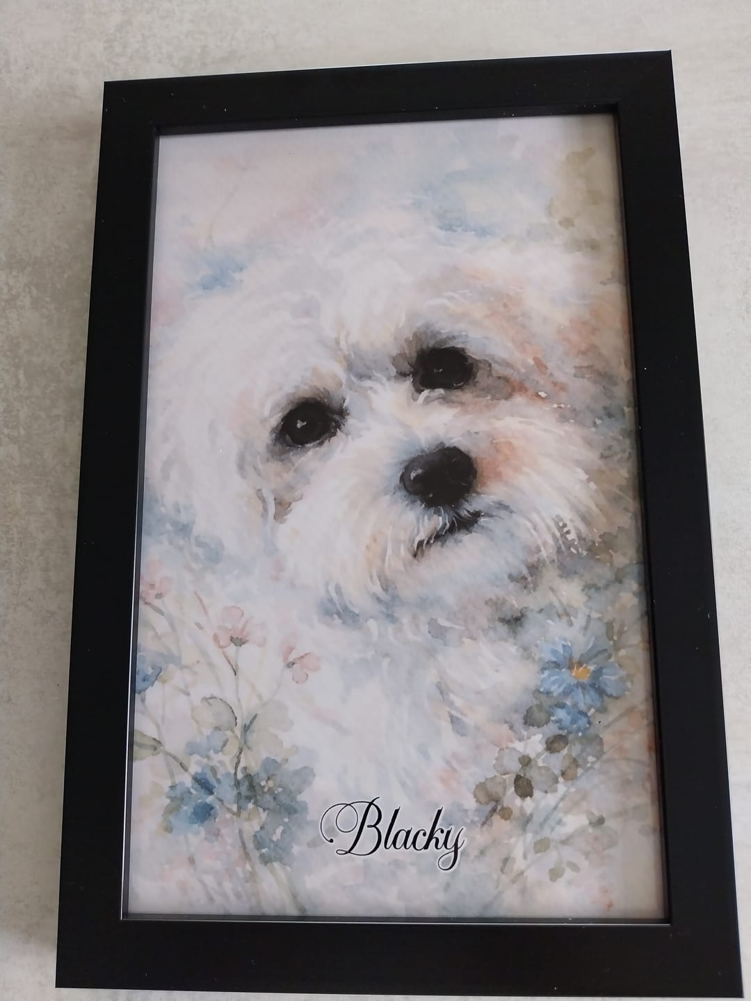 Customer photo review of Aquarelle - Poster personnalisé