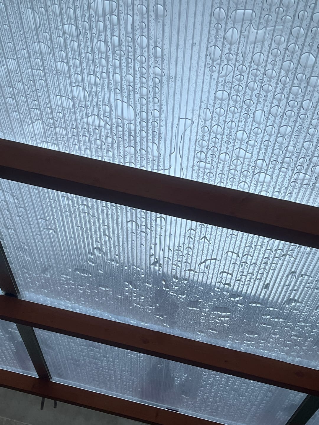 Customer photo review of Doppelstegplatte 16 mm Polycarbonat 5-Fach X-Struktur glasklar