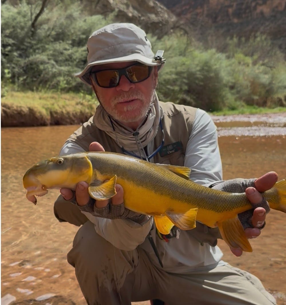Customer photo review of Lid Rig 3.0