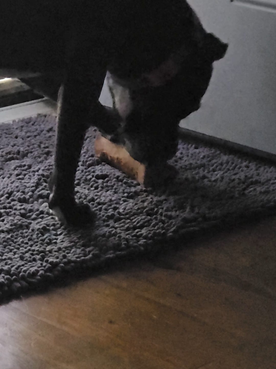 Customer photo review of Erik's Mystery Chew or Treat