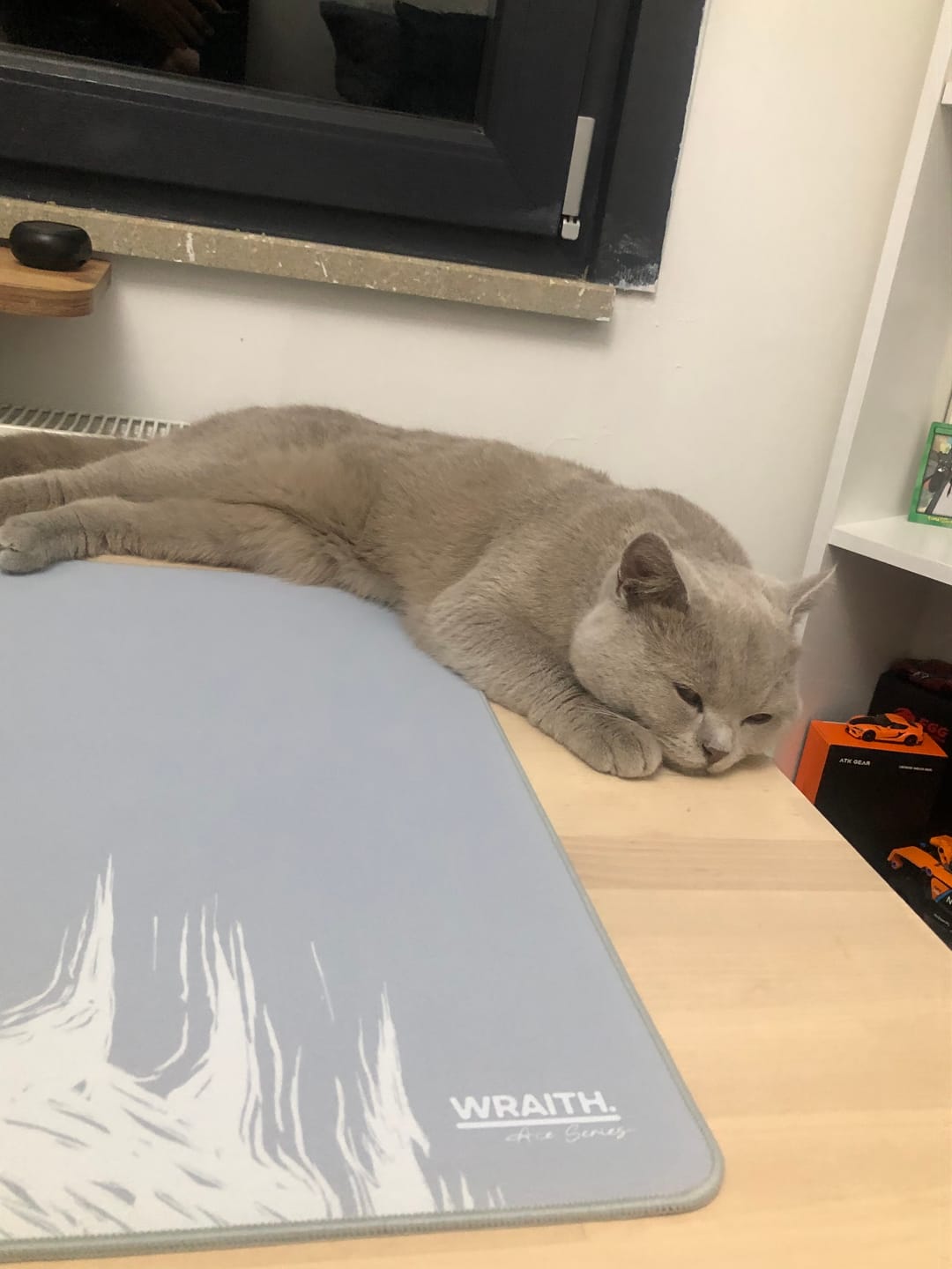 Customer photo review of Wraith Ace Series Poron Mousepad